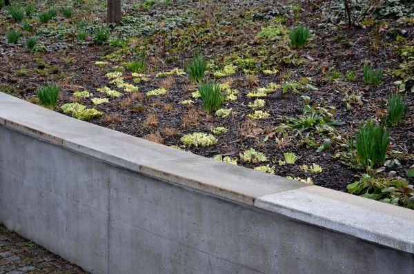 Concrete Wall Construction in Chico