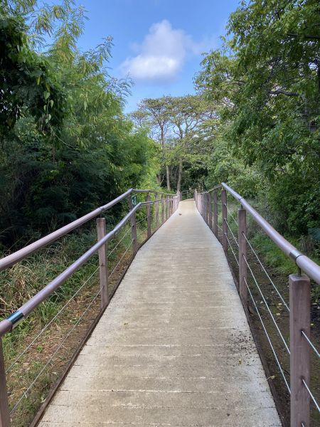 Footpath Construction in Chico