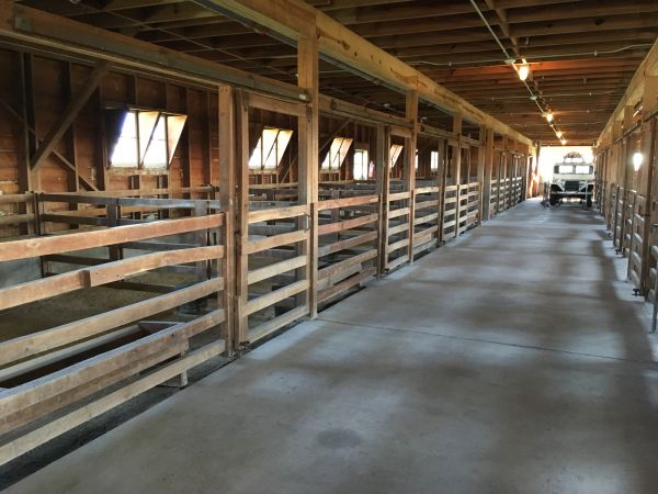 Barn Floor Pouring in Chico