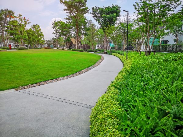 Cement Walkway Service in Chico