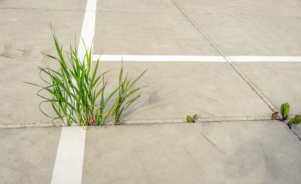 Concrete Parking Installation in Chico