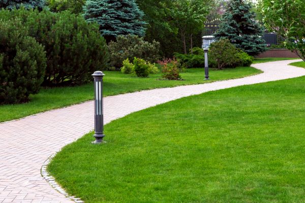 Backyard Sidewalk Installation in Chico