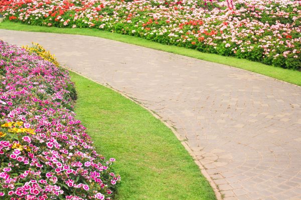 Concrete Walkway Service in Chico